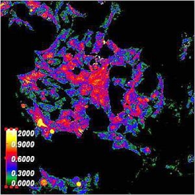 熒光PCR檢測儀用濾光片波段應用及定制生產